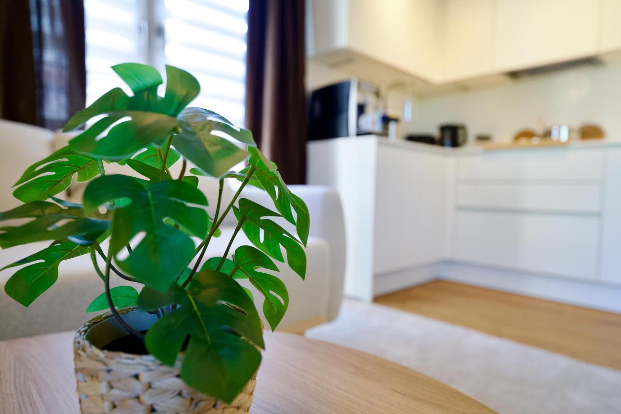 Edler Wohnraum Schwanenteich-Oase Mit Balkon, Kaffeevollautomat, Lift & Parkplatz Leilighet Zwickau Eksteriør bilde